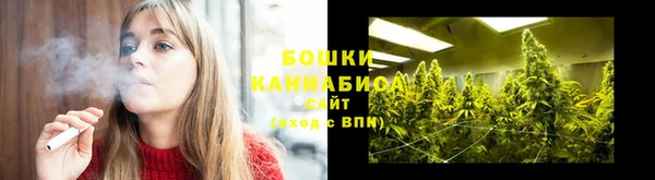 PSILOCYBIN Михайлов