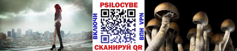 закладки Кяхта Галлюциногенные грибы MAGIC MUSHROOMS